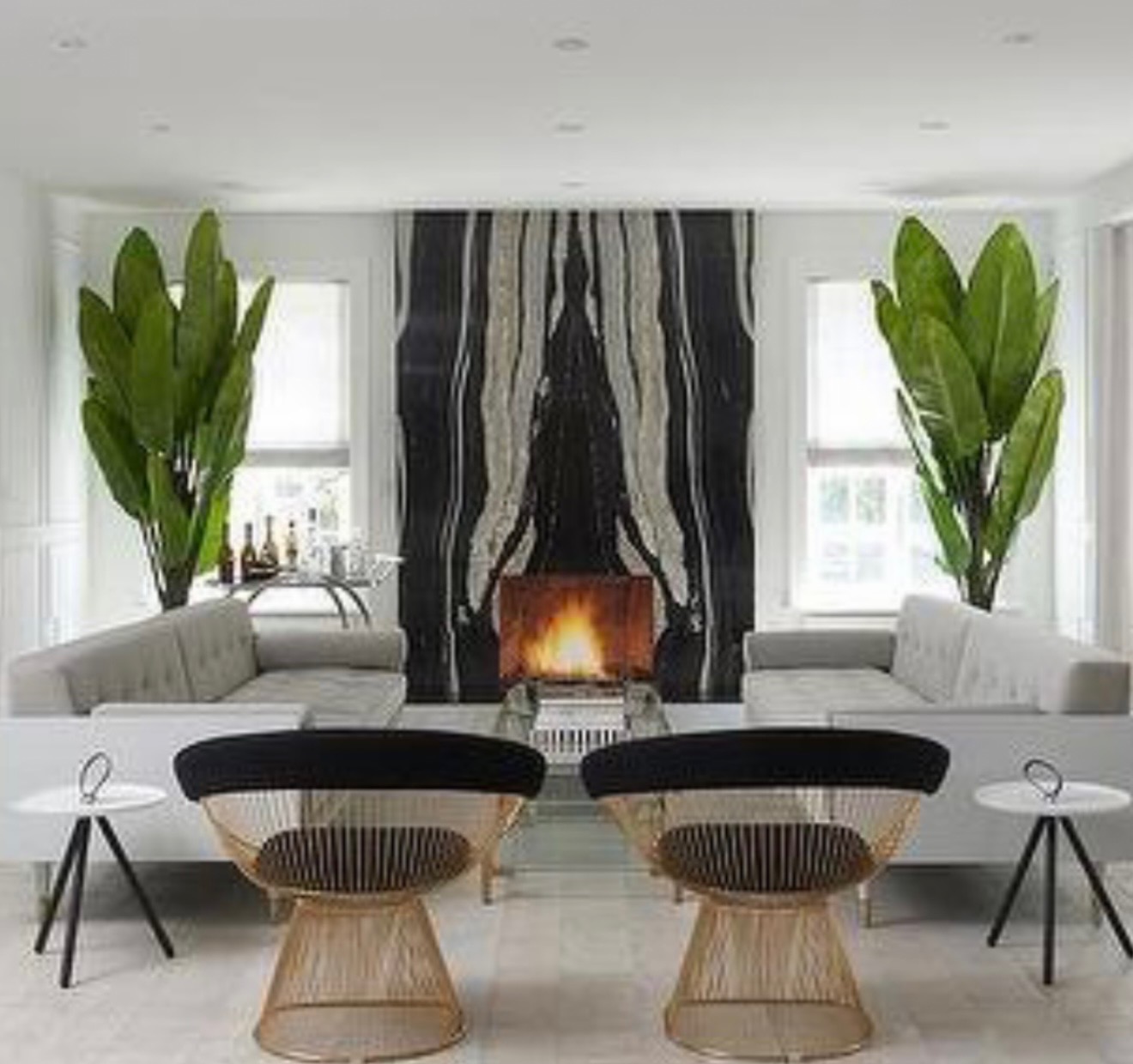 Black and white living space with stately contrast